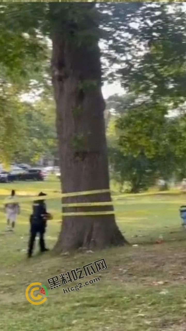 自由美利坚的凶暴现实!纽约罗切斯特市公园枪击事件,1死6伤引发社区恐慌!-1