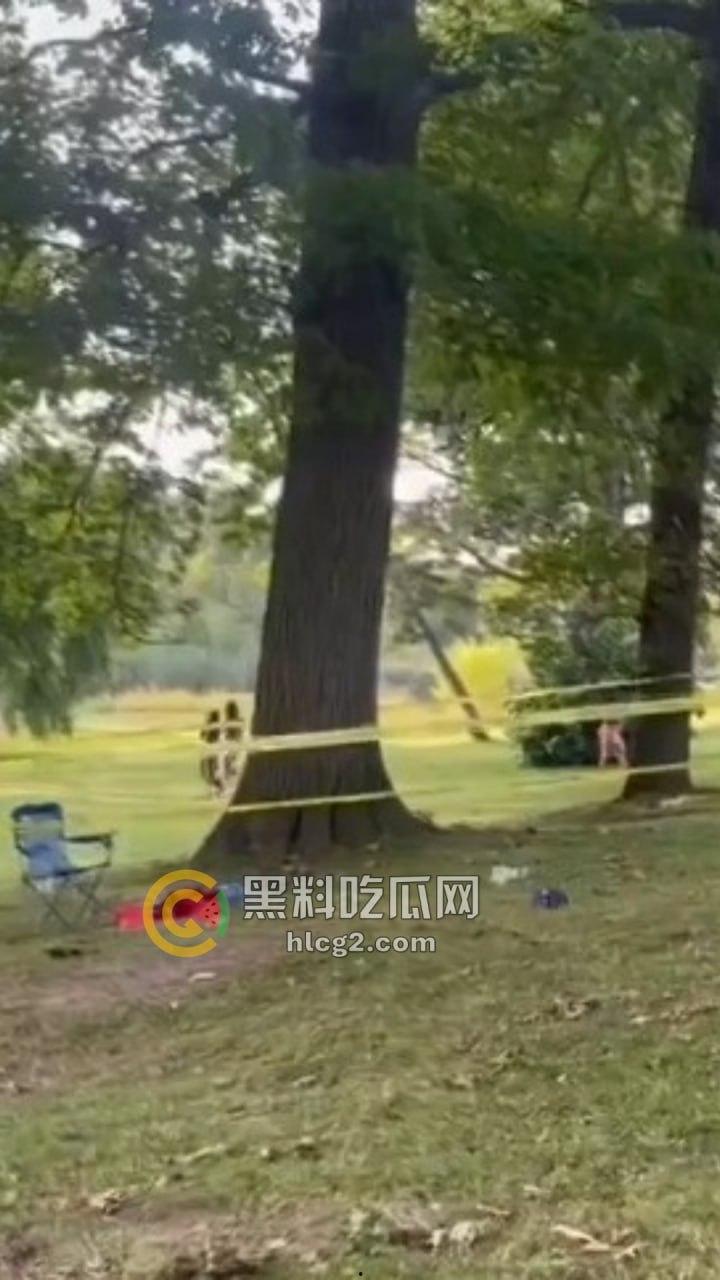 自由美利坚的凶暴现实!纽约罗切斯特市公园枪击事件,1死6伤引发社区恐慌!-7