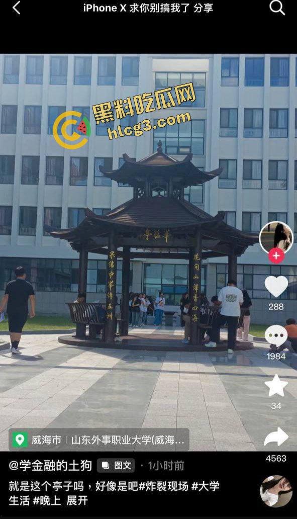 山东外事职业大学 体育生情侣夜晚凉亭激情野战做爱 抱起来猛蹬 被路人发现偷拍！-2