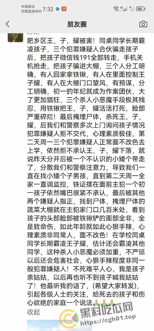 热瓜速递!邯郸肥乡【王子耀】被三名初中生残杀埋尸 案发细节以及凶手照片曝光 被村民追着打-2