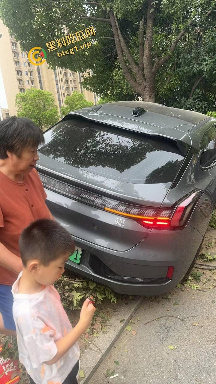 新能源极氪001 极速飞车黄毛 刚结婚大喜就出车祸!致2死1伤!-13