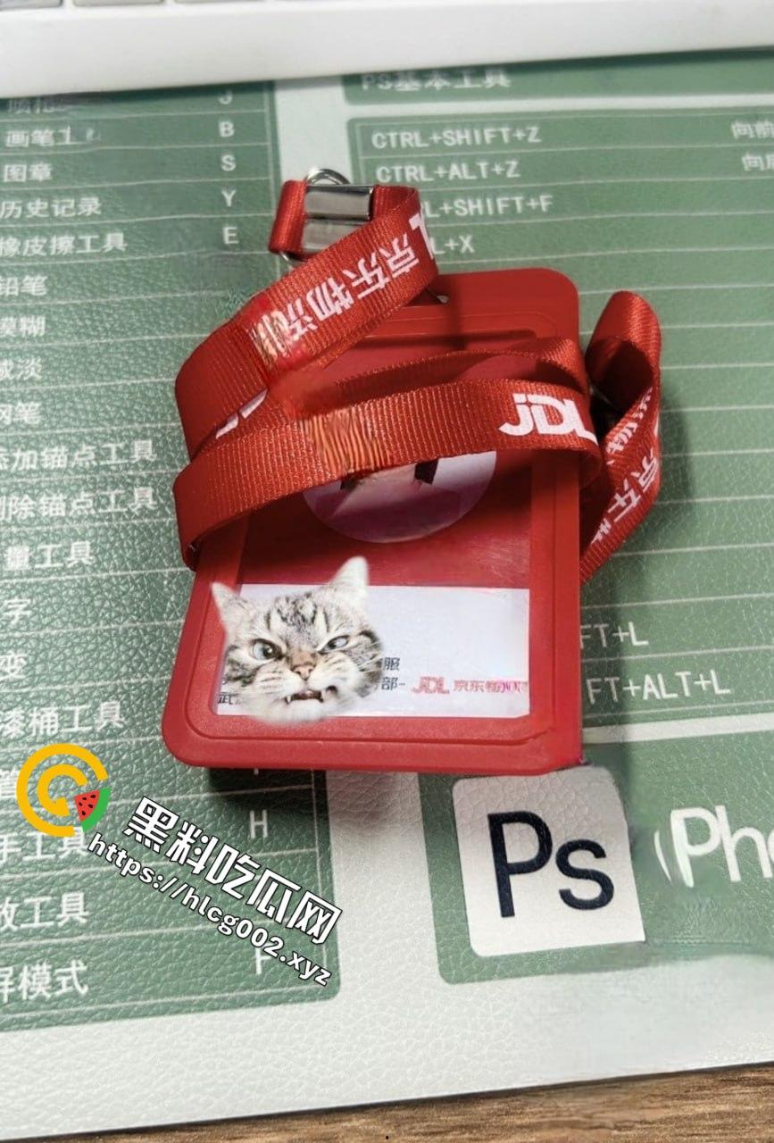 重庆京东物流实习生『张兰』欲求不满 背着男友发自慰视频勾引男人约炮！视频曝光！-4