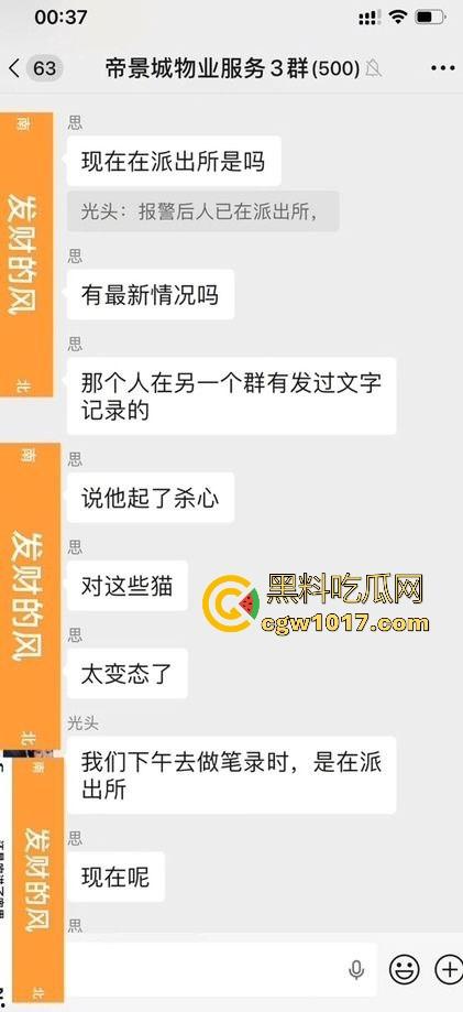 广东揭阳缔景城小区有人虐猫,深夜拿弓箭弓弩射小区小猫咪,在小区乱射箭,如入无人之境,今天敢射猫明天就敢射人!-3