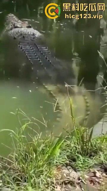 鳄鱼杀人开宴!小镇女孩惨遭下肚,砂捞越首次鳄鱼吃人,残骸成谜!-2