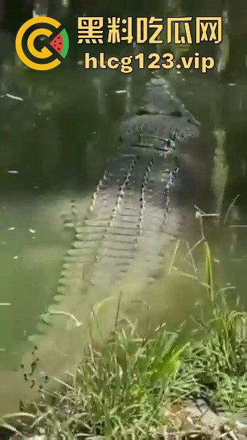 鳄鱼杀人开宴!小镇女孩惨遭下肚,砂捞越首次鳄鱼吃人,残骸成谜!-4