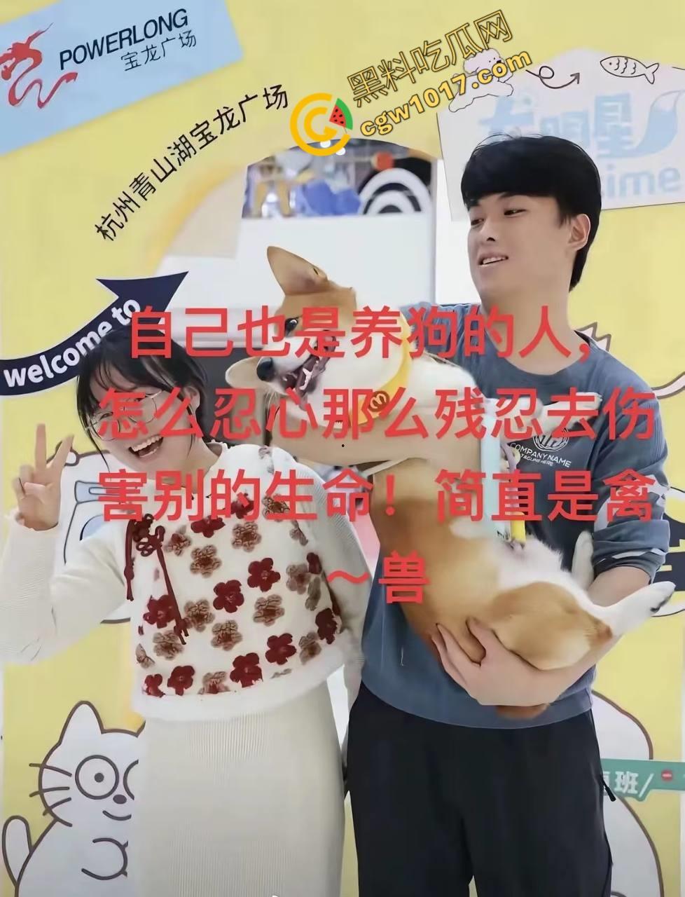 浙江狂暴男子街头暴力虐狗事件火遍全网:血腥场面令人震撼,马犬惨叫声震撼人心,引发全民怒吼!-1