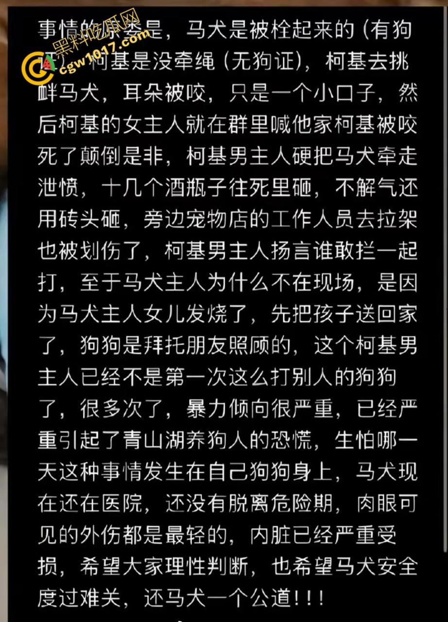 浙江狂暴男子街头暴力虐狗事件火遍全网:血腥场面令人震撼,马犬惨叫声震撼人心,引发全民怒吼!-2