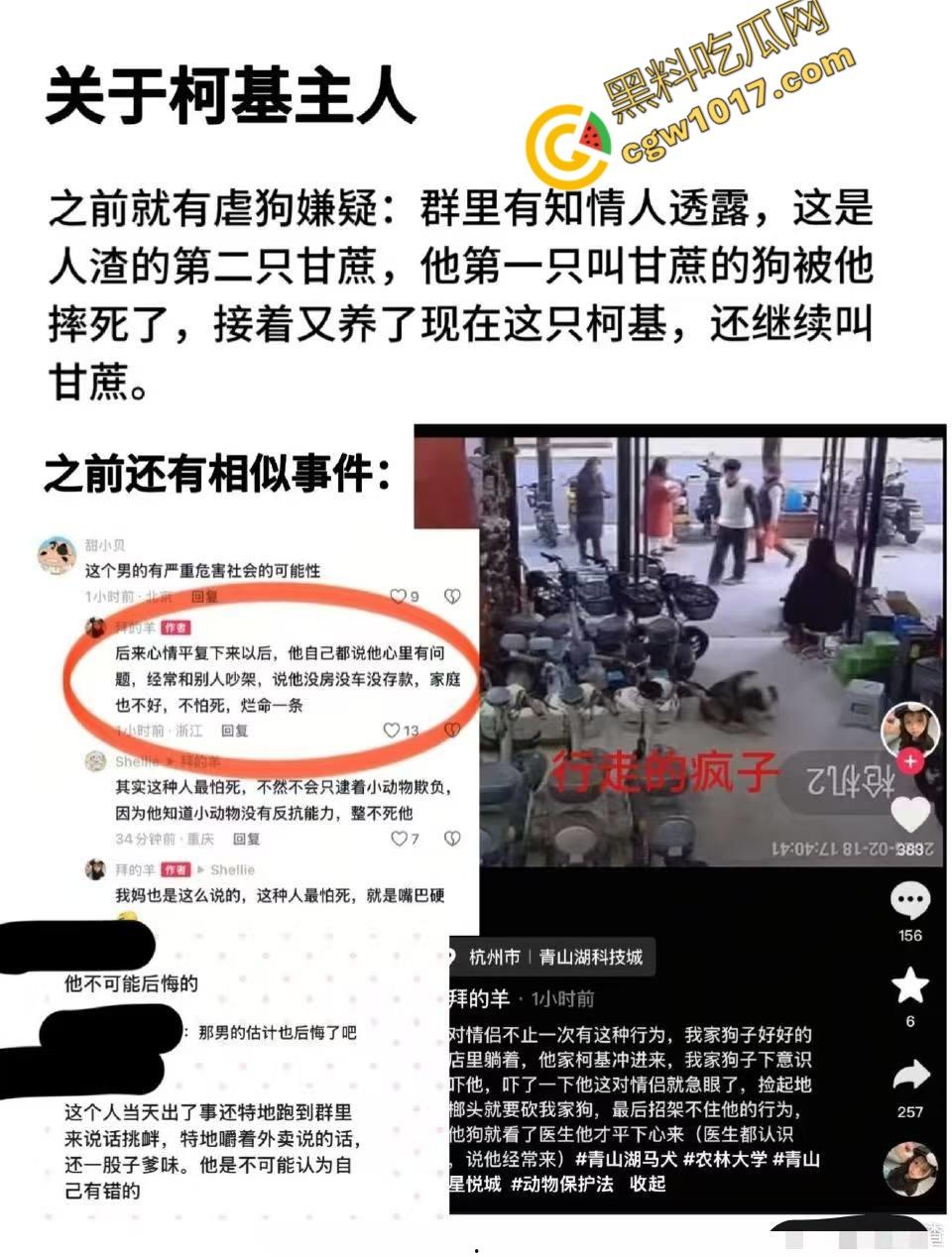 浙江狂暴男子街头暴力虐狗事件火遍全网:血腥场面令人震撼,马犬惨叫声震撼人心,引发全民怒吼!-3