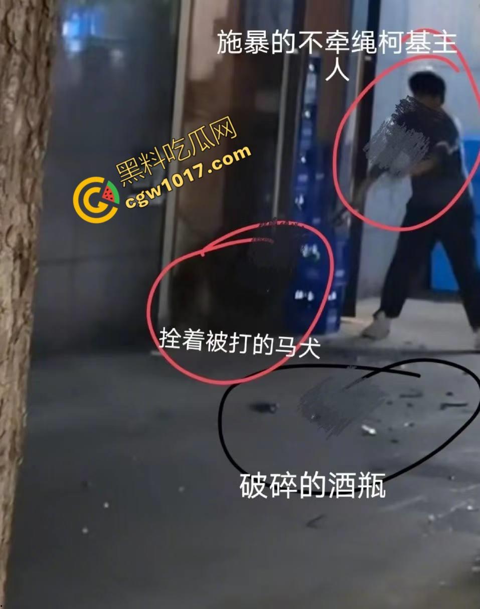 浙江狂暴男子街头暴力虐狗事件火遍全网:血腥场面令人震撼,马犬惨叫声震撼人心,引发全民怒吼!-7