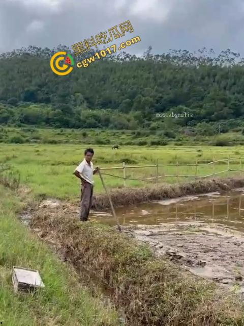 极品尤物CikaiMoon大尺度暴露!穿越稻田,酮体迷人,巨波荡漾,翘臀蹦跳,农民伯伯纷纷回眸,欲火中烧!-10