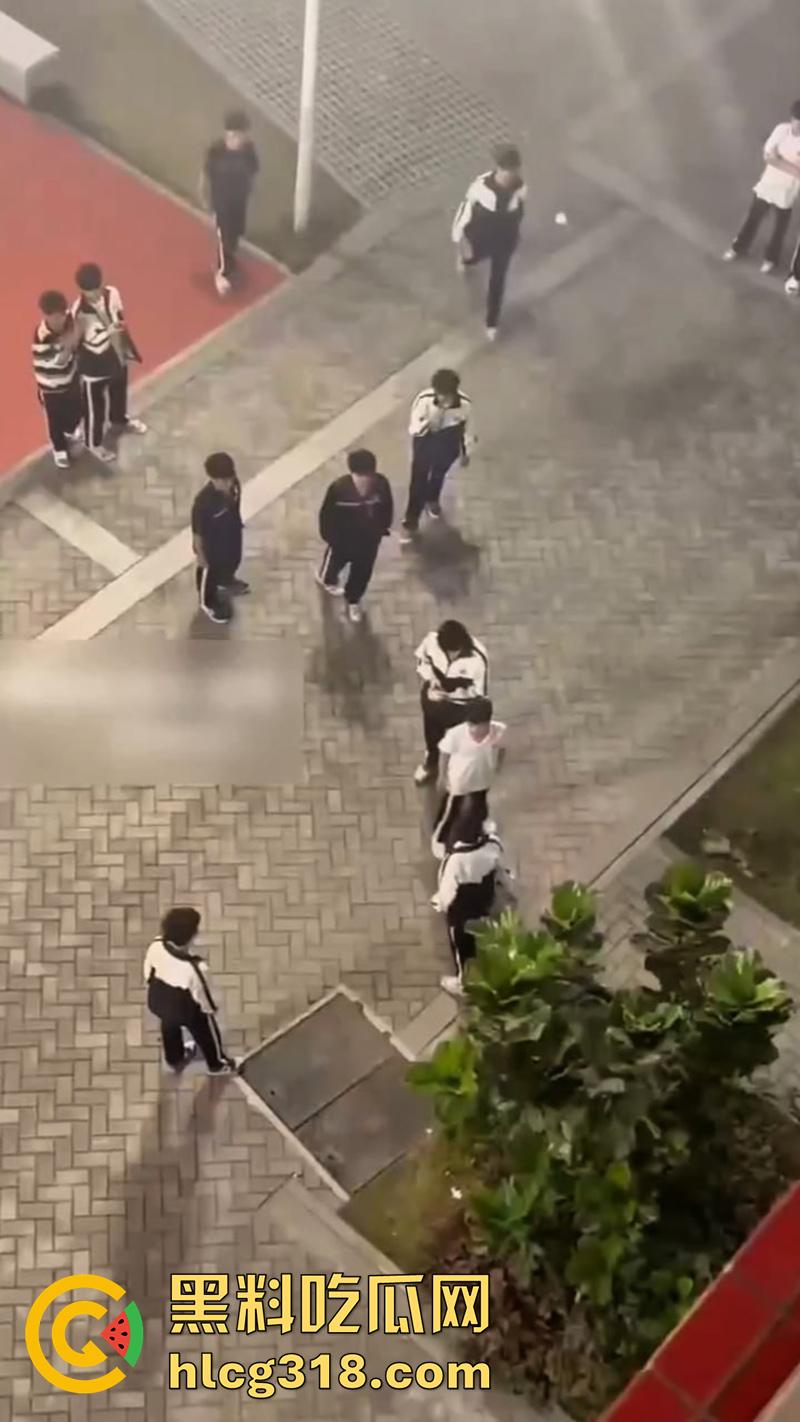 我拿你当兄弟你竟然操我妈?高中生把同学母亲给操怀孕了,儿子知道后直接在学校打起来了!-3