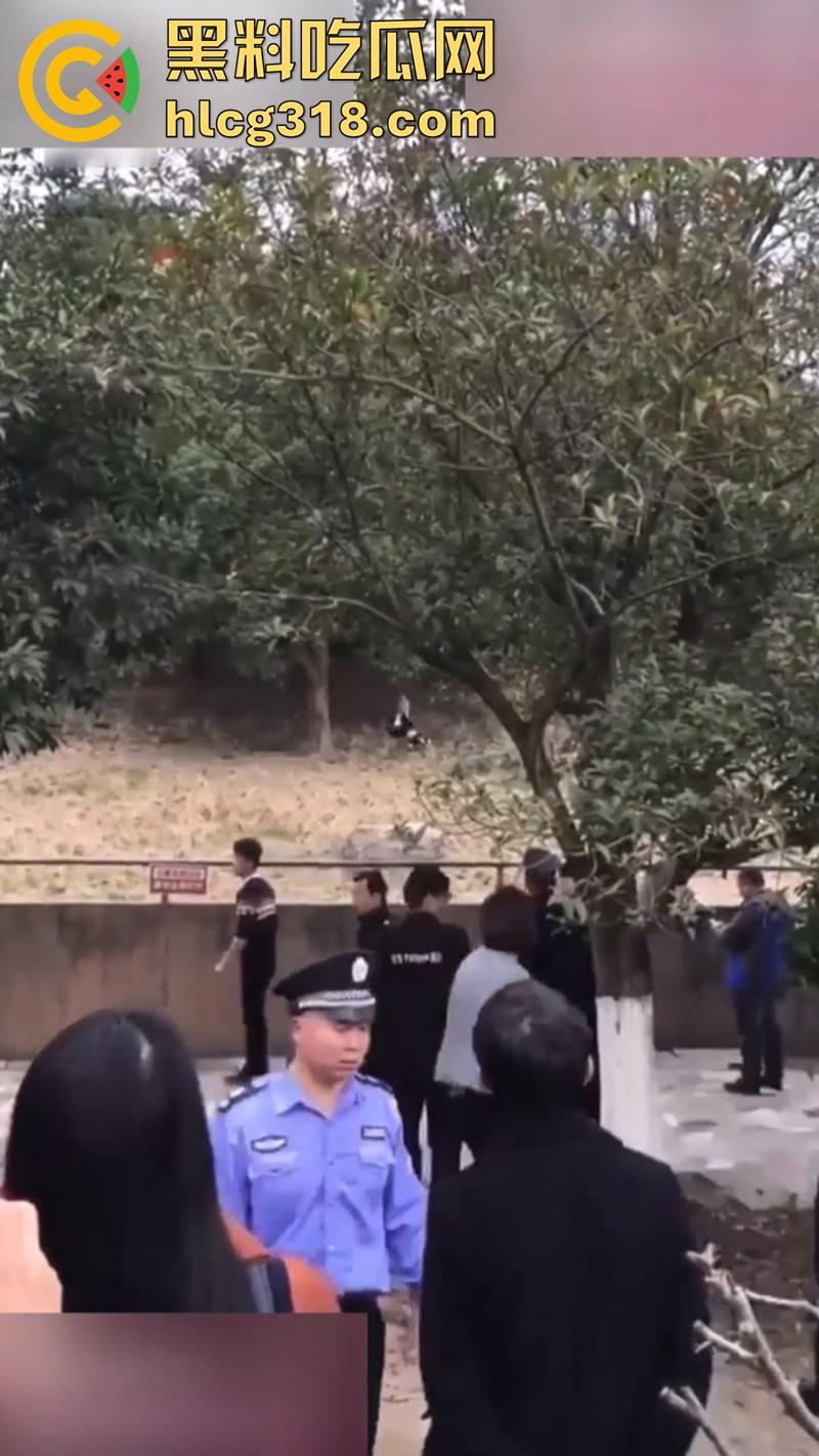 聪明人费尽心思,不如蠢人灵机一动!浙江男子翻越围墙撸老虎,被老虎当场咬死,该老虎已被射杀!-3