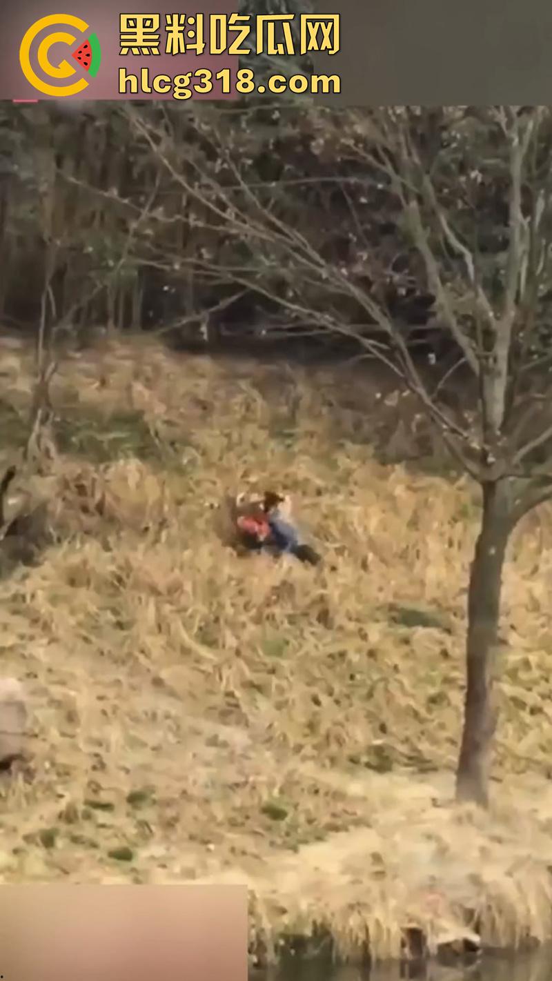 聪明人费尽心思,不如蠢人灵机一动!浙江男子翻越围墙撸老虎,被老虎当场咬死,该老虎已被射杀!-5