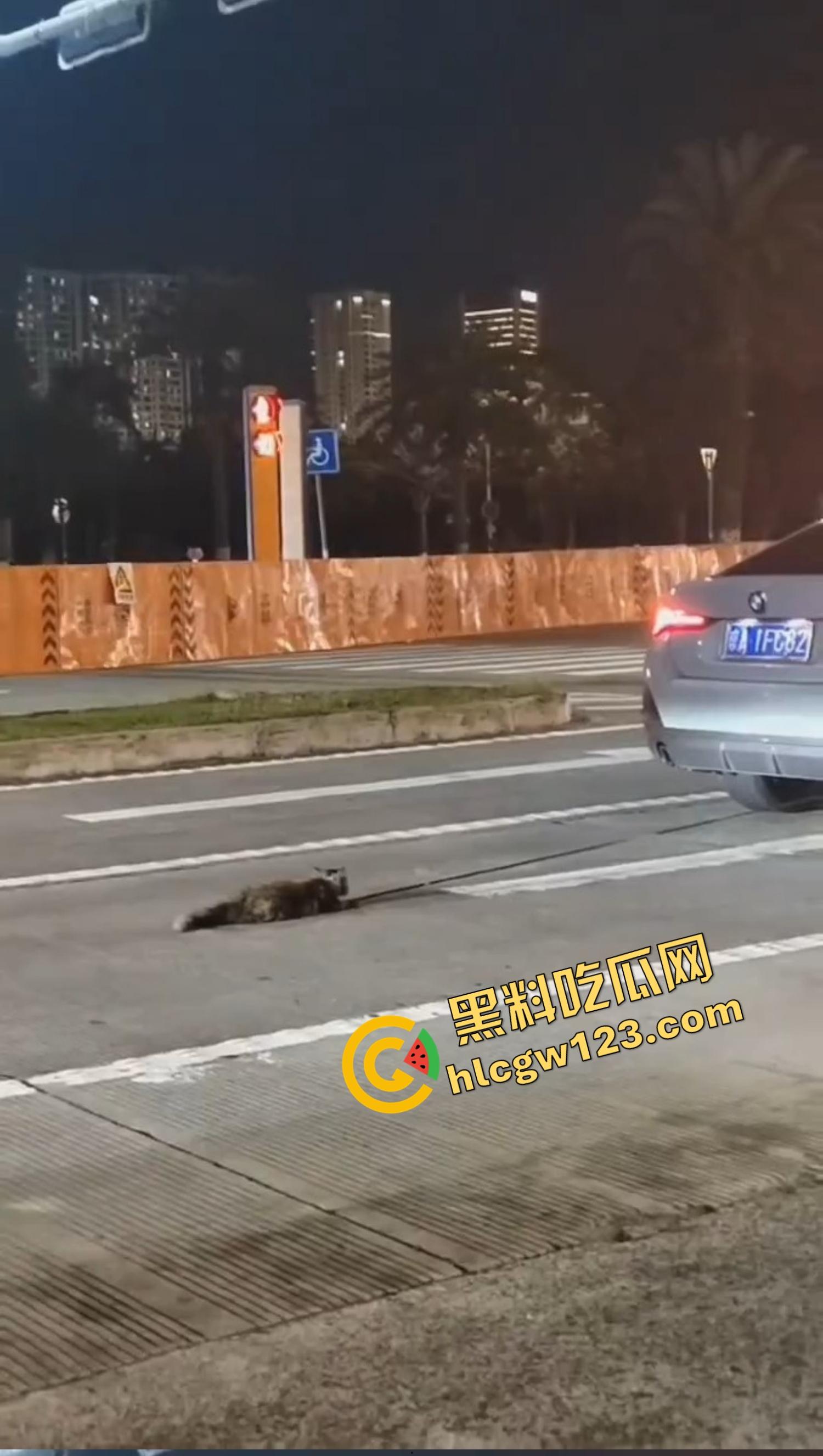 海南海口宝马车拖行小猫致死,群众当街怒吼追车,司机被围送派出所,这是碾压良知!-2