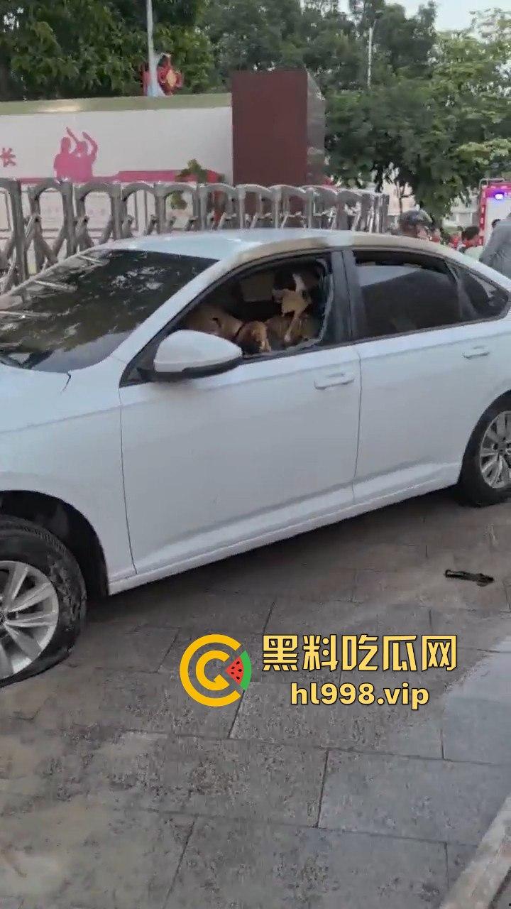 福建云霄县女司机火烧车疯狂冲撞学校!8人血洒当场,司机惨死!警方紧急调查背后真相!-12