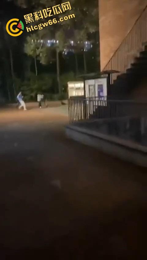 四川国际职业学院三舔狗为一个海后当街互殴,情敌互锤全员备胎,女主笑而不语继续约第4个!-8