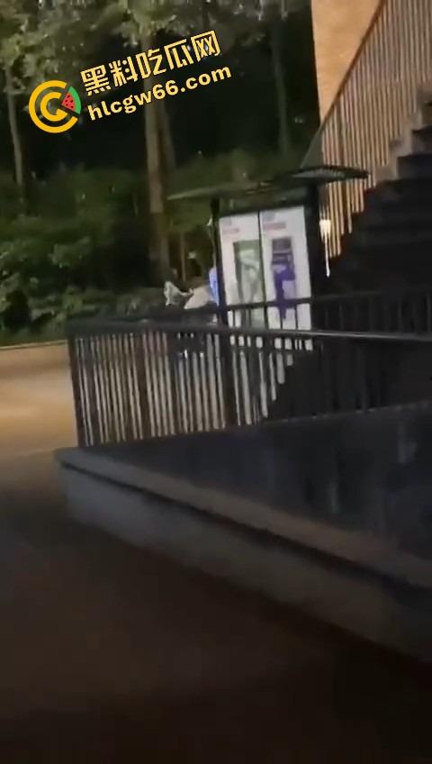 四川国际职业学院三舔狗为一个海后当街互殴,情敌互锤全员备胎,女主笑而不语继续约第4个!-11