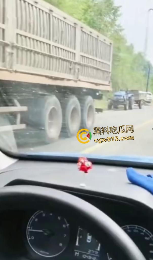 黑龙江货车狂飙撞扁16头活牛,尸体拉长成肉泥,丢草丛无人收,这下司机要赔得血本无归!-3