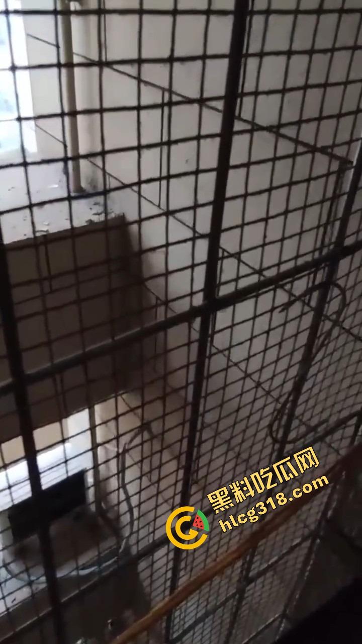 潍坊住户天天叫小姐,夜夜啪啪震天响,大半夜高潮惨叫像杀人,住户忍无可忍拍视频发物业群!-8