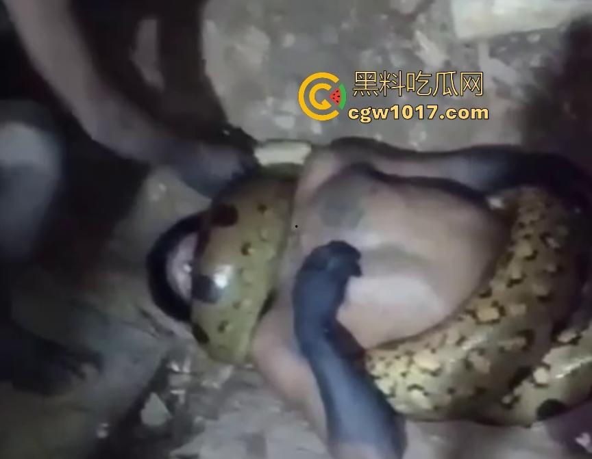 印度醉汉被巨蟒缠绕绞杀,骨骼咔咔断裂脸黑如炭,俩亲兄弟把蟒蛇抬走说喝点恒河水能活,这都黑了还能救?-2