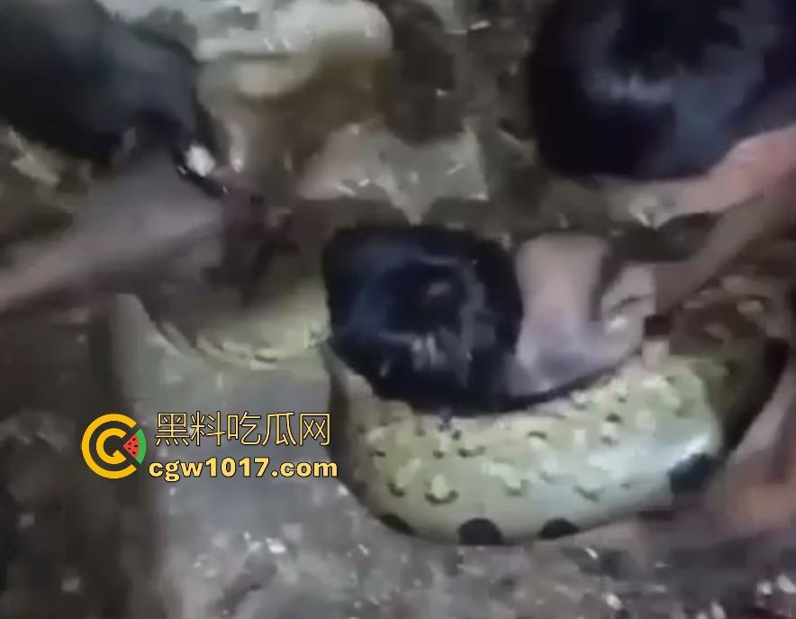 印度醉汉被巨蟒缠绕绞杀,骨骼咔咔断裂脸黑如炭,俩亲兄弟把蟒蛇抬走说喝点恒河水能活,这都黑了还能救?-6