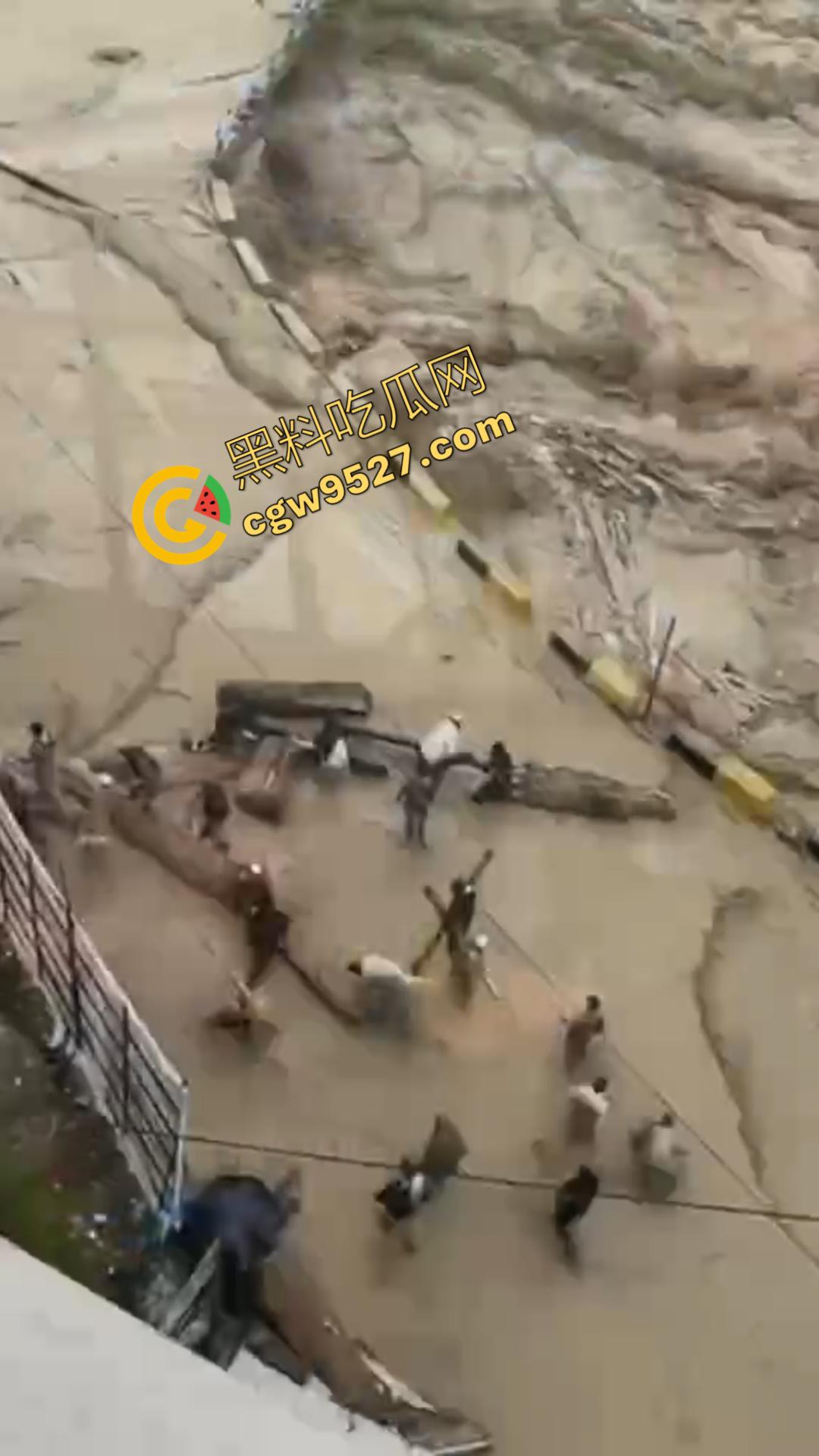 国外大瓜!巴基斯坦洪灾肆虐,千人死亡,牲畜死伤惨重,全国超半数地区被淹!-5