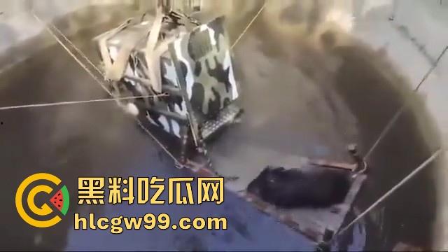 完达山一号再现?印度三哥野生老虎因追逃野猪双双落入水井,这次三哥不会趁老虎之危了吧!-1