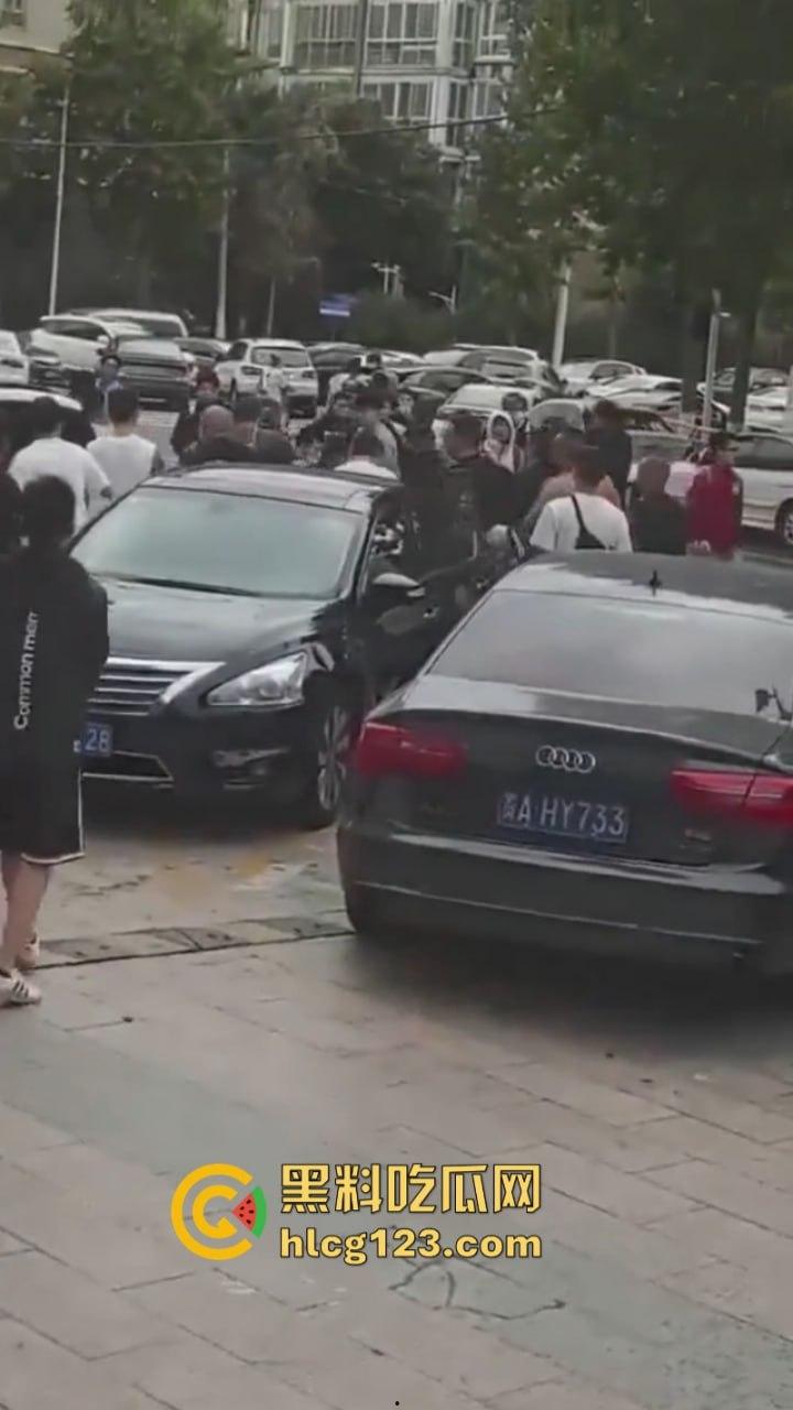 喜闻乐见!中国的足球也值得斗殴?四川&河南 百人球迷大暴乱 烟雾弹乱飞 斗殴砸车 现场画面曝光-8