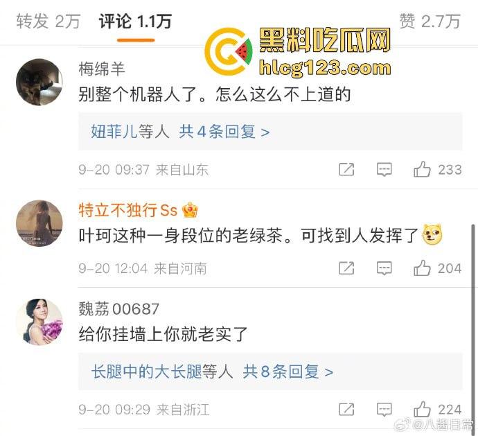 黄晓明官宣恋情遭打脸！网红叶珂晒聊天记录：黄晓明没结婚？前任老公还扒出私密视频！-3