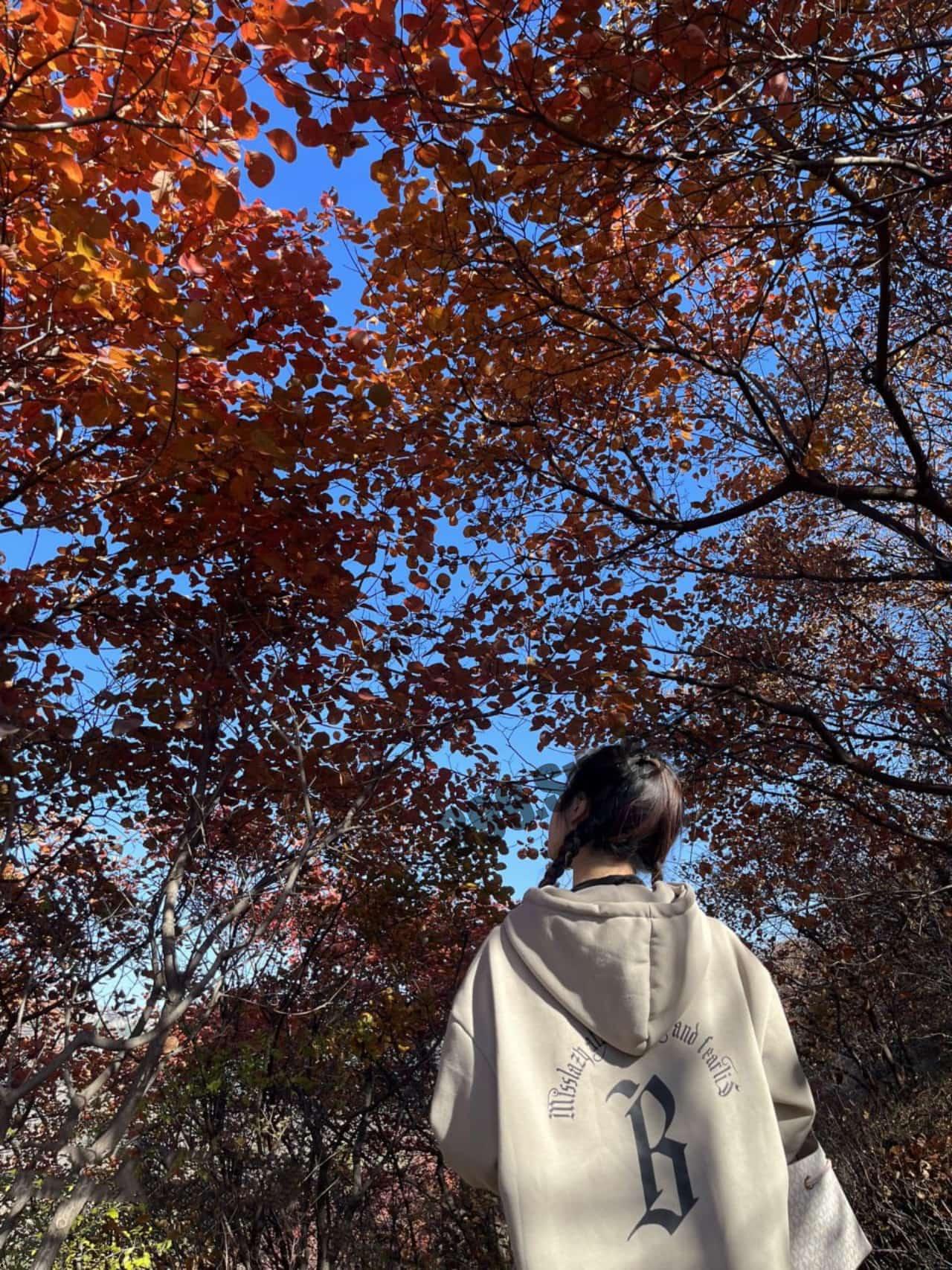 高颜值模特儿们的故事 把她们一个个调教得服服帖帖地 每天都有新的吃鸡人-3