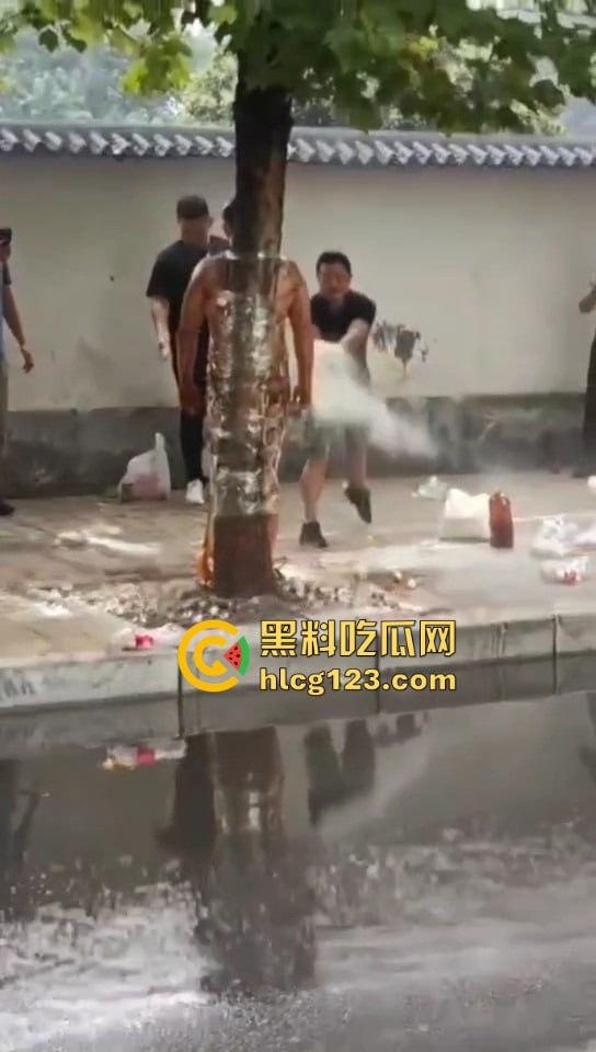 城里人的离谱操作!脱光缠树上撒面粉,这画面简直像缅北逃猪仔被抓!-3