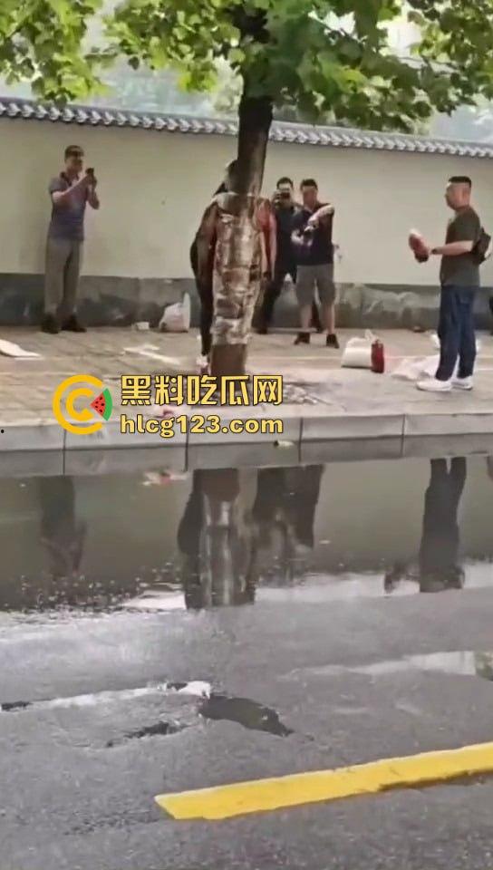 城里人的离谱操作!脱光缠树上撒面粉,这画面简直像缅北逃猪仔被抓!-8