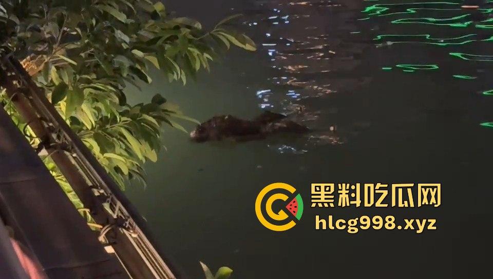 瓜友爆料!成都兰桂坊门口河里惊现浮尸,场面诡异引发热议!-10