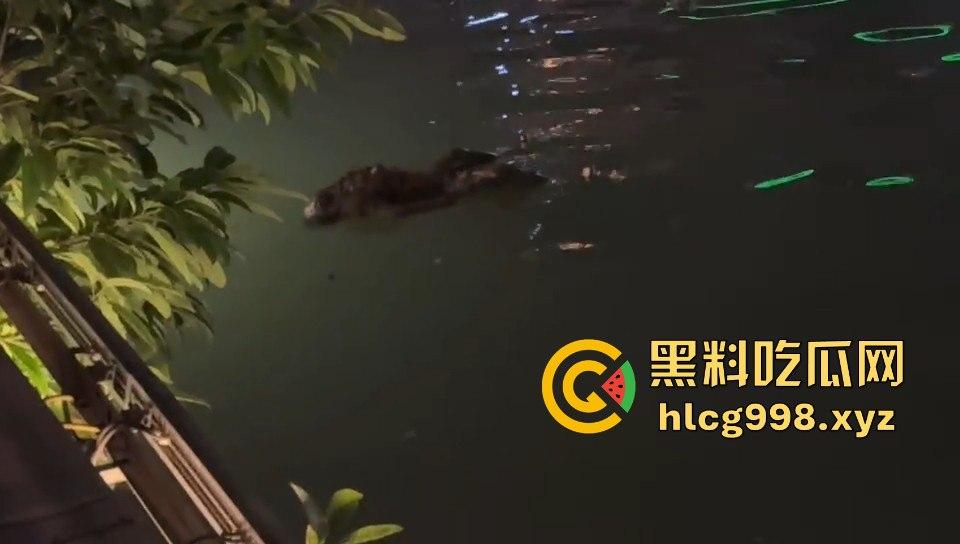 瓜友爆料!成都兰桂坊门口河里惊现浮尸,场面诡异引发热议!-11