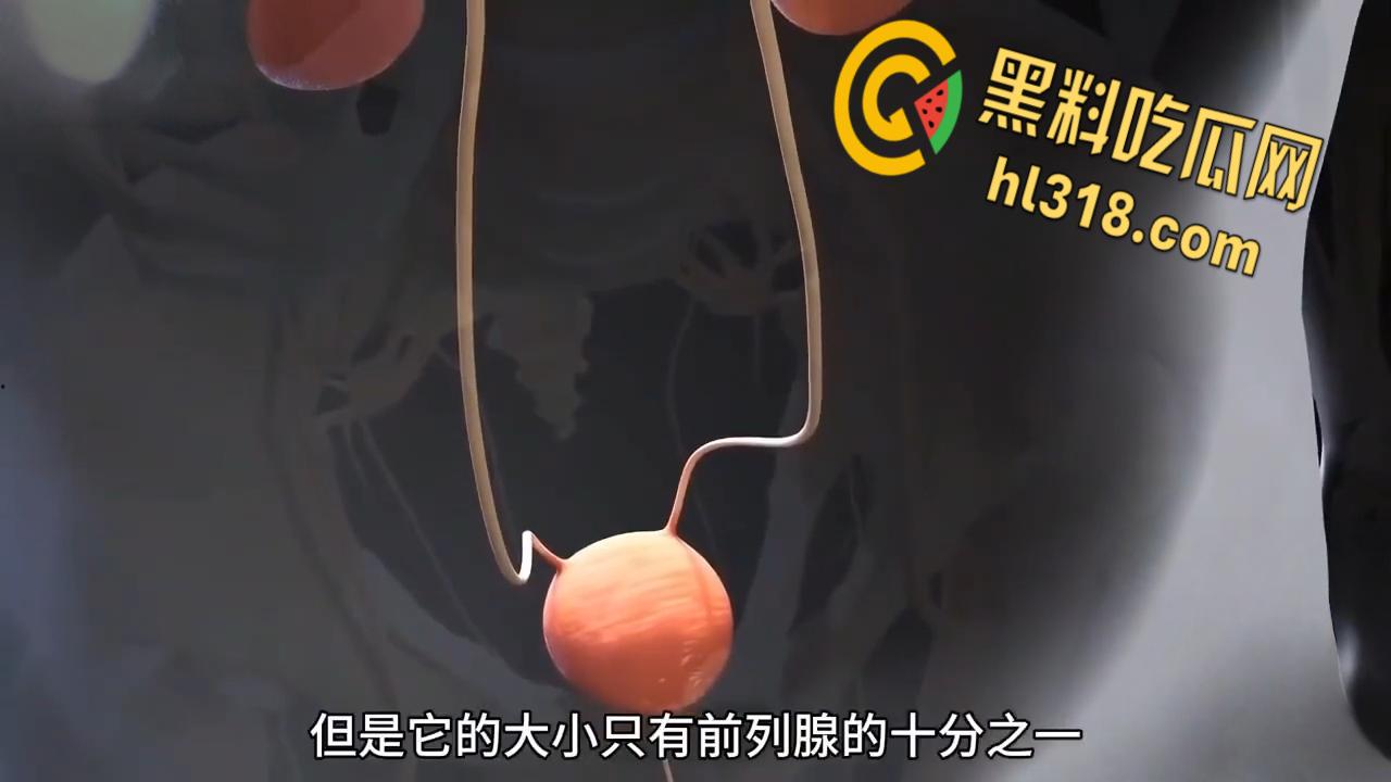 性爱科普揭秘,性高潮时潮喷的液体究竟是什么?带你看尽私密快感,想想谁被你操到高潮喷射 !-5