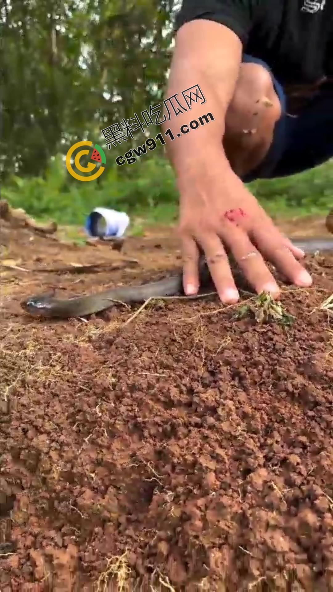 恐怖渗人!越南老哥终日与毒蛇共舞,练就百毒不侵的体魄,神操作直接看呆众人-10