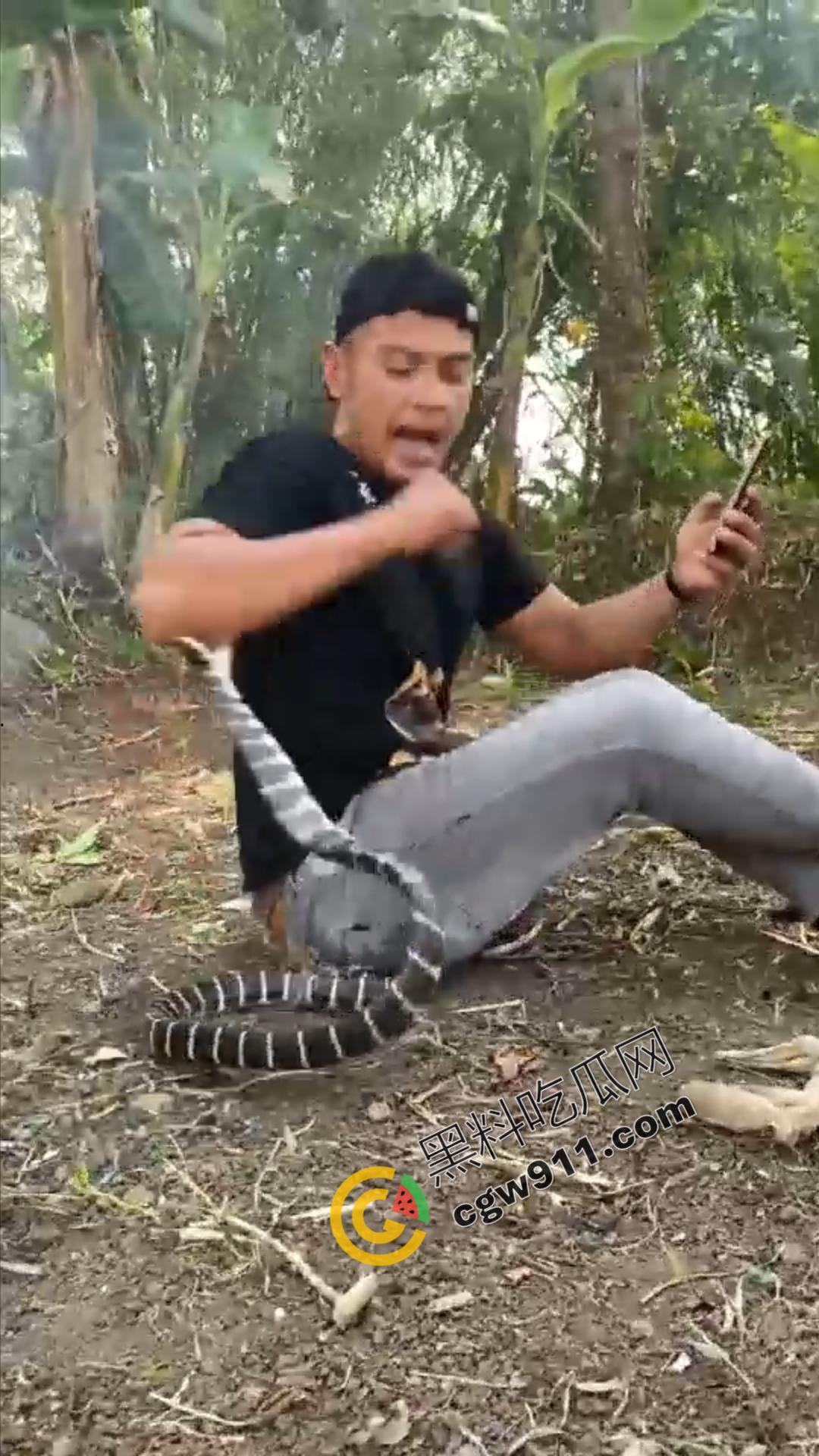 恐怖渗人!越南老哥终日与毒蛇共舞,练就百毒不侵的体魄,神操作直接看呆众人-11