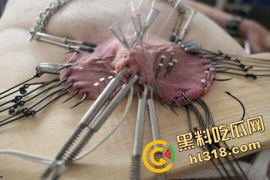 猎奇新高度,虐鸡阉割重口慎入,这才叫真蛋疼,鸡都不带哆嗦不把牛子当回事,瓜友你们怎么看?-16