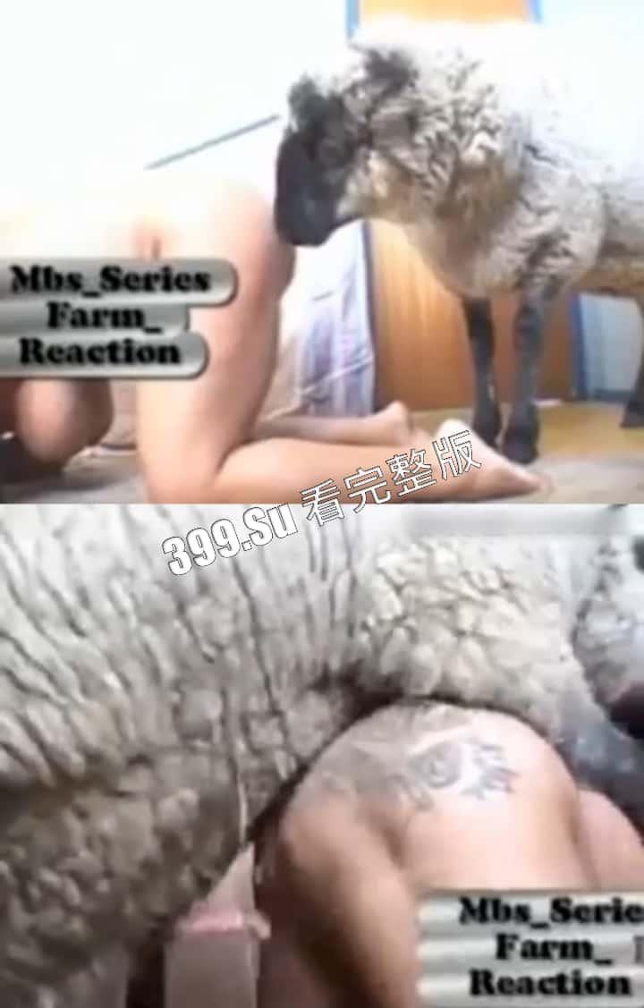 人兽篇 不理解,但是大为震撼!本场男演员:哮天犬,黑龙马,斯内克,喜羊羊(介意的瓜友 勿点 ! )(三)-9