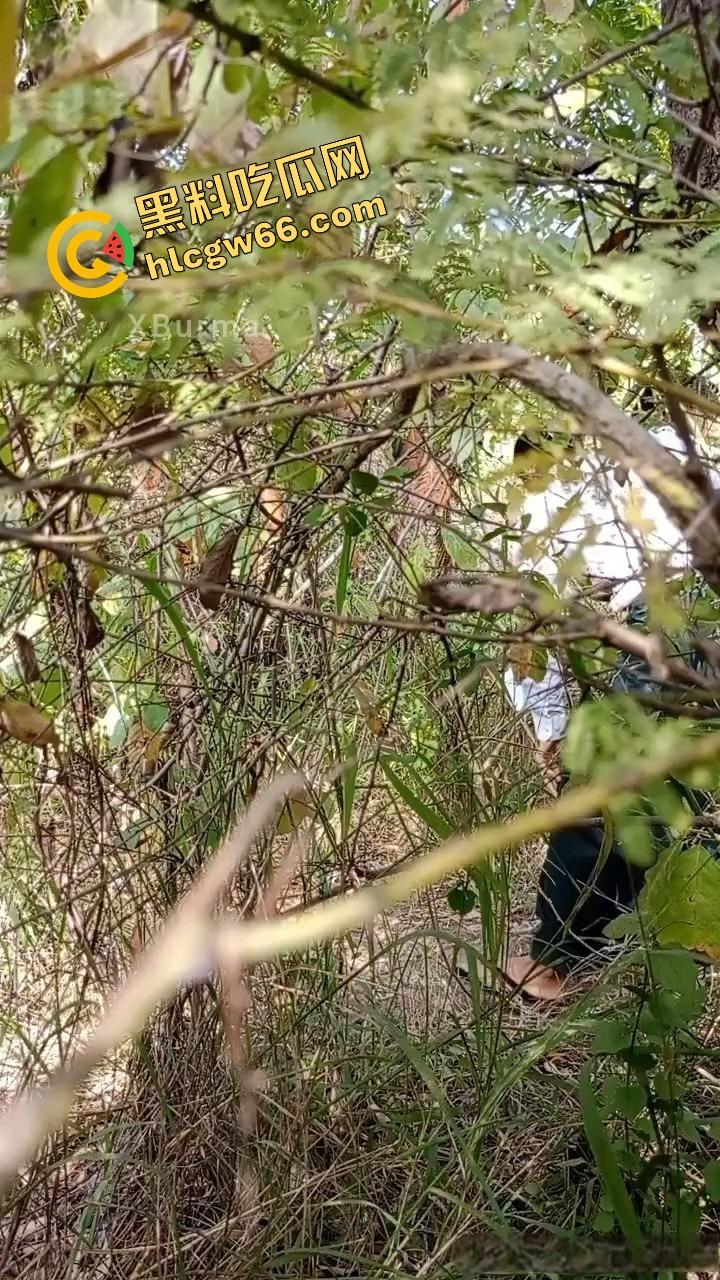 夏天的第一炮,小情侣树林野战开操果园大哥路过拍下全程,屁股抬得比桃子高,万物复苏逼也骚!-1