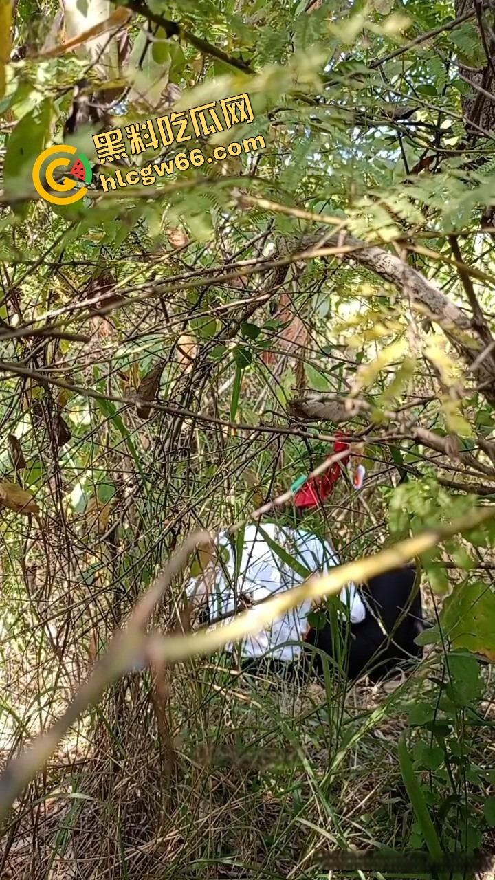 夏天的第一炮,小情侣树林野战开操果园大哥路过拍下全程,屁股抬得比桃子高,万物复苏逼也骚!-3