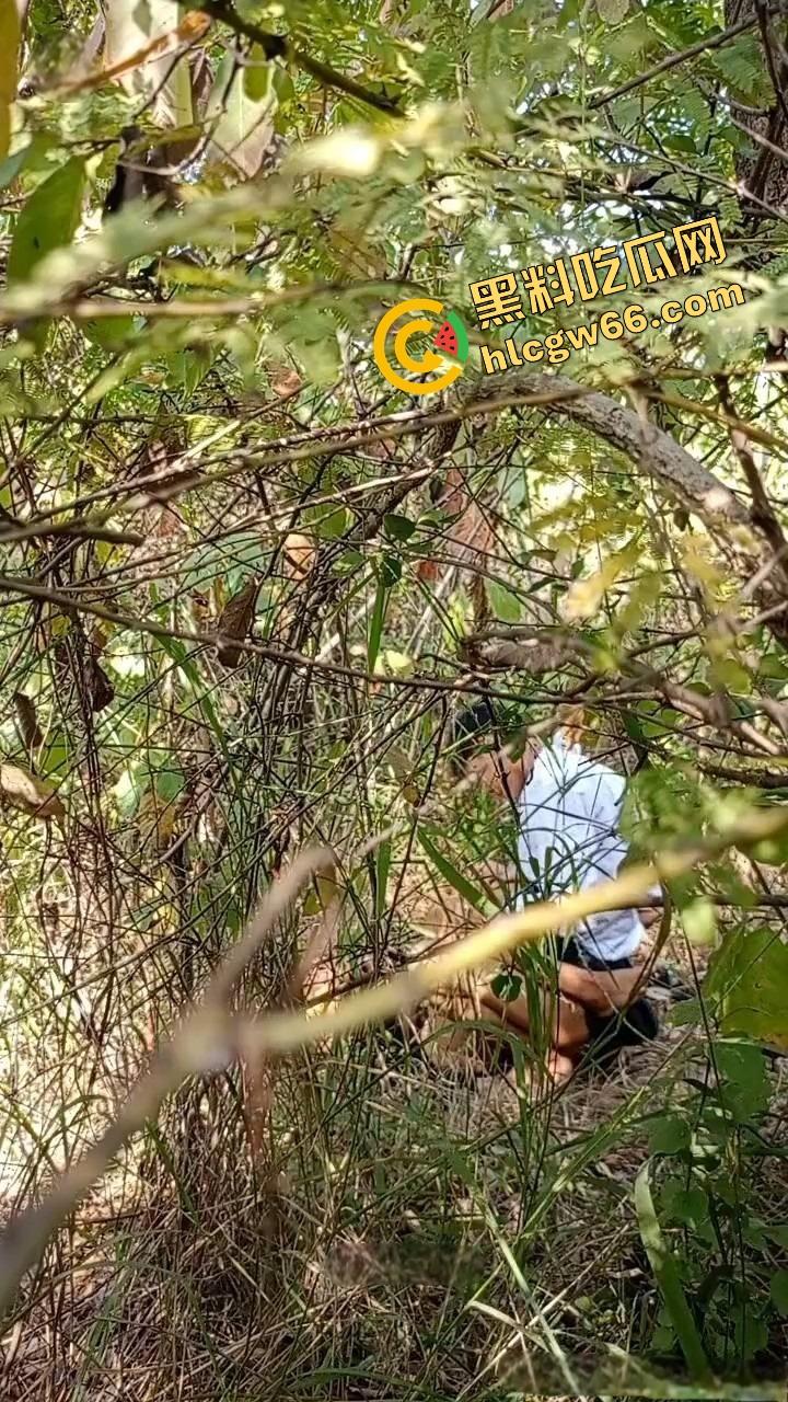 夏天的第一炮,小情侣树林野战开操果园大哥路过拍下全程,屁股抬得比桃子高,万物复苏逼也骚!-4