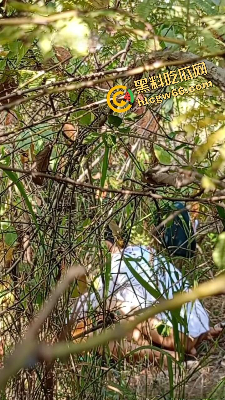 夏天的第一炮,小情侣树林野战开操果园大哥路过拍下全程,屁股抬得比桃子高,万物复苏逼也骚!-6