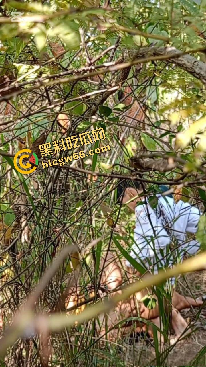 夏天的第一炮,小情侣树林野战开操果园大哥路过拍下全程,屁股抬得比桃子高,万物复苏逼也骚!-7