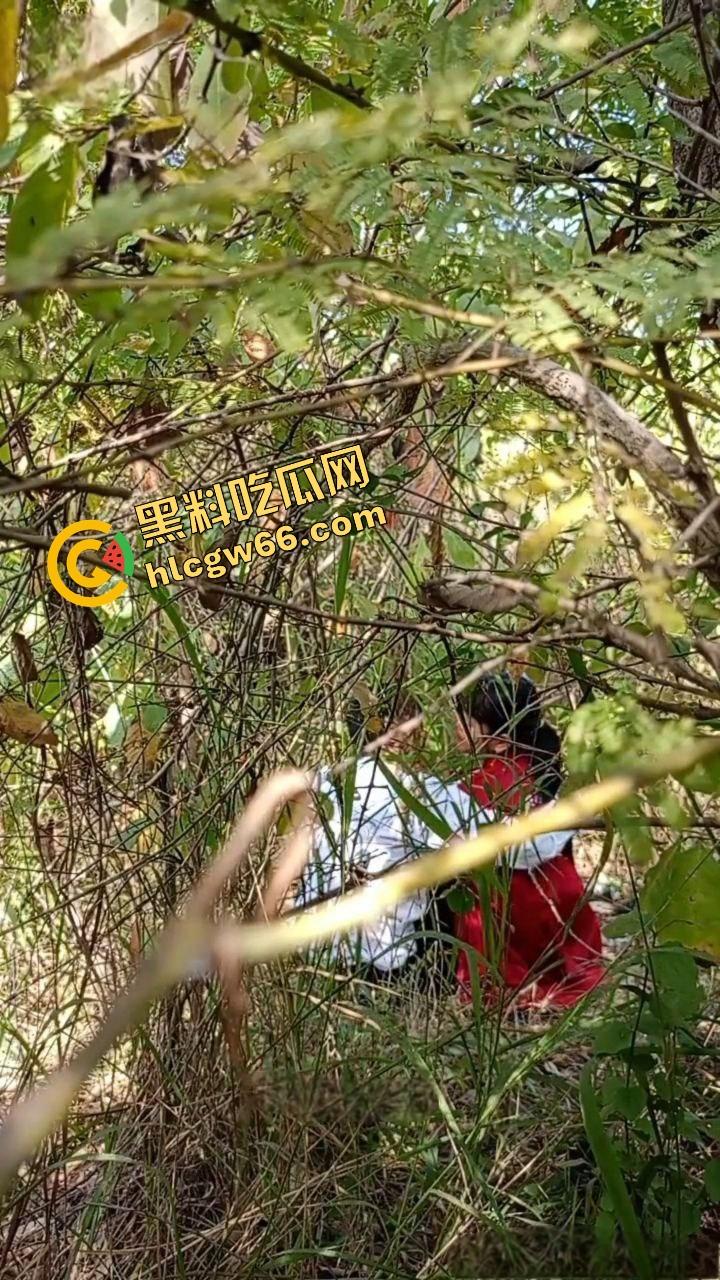 夏天的第一炮,小情侣树林野战开操果园大哥路过拍下全程,屁股抬得比桃子高,万物复苏逼也骚!-11