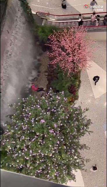 西安赛格跳楼事件 一女子从赛格 7 层坠入负二层 疑似与老公吵架一时想不开-2