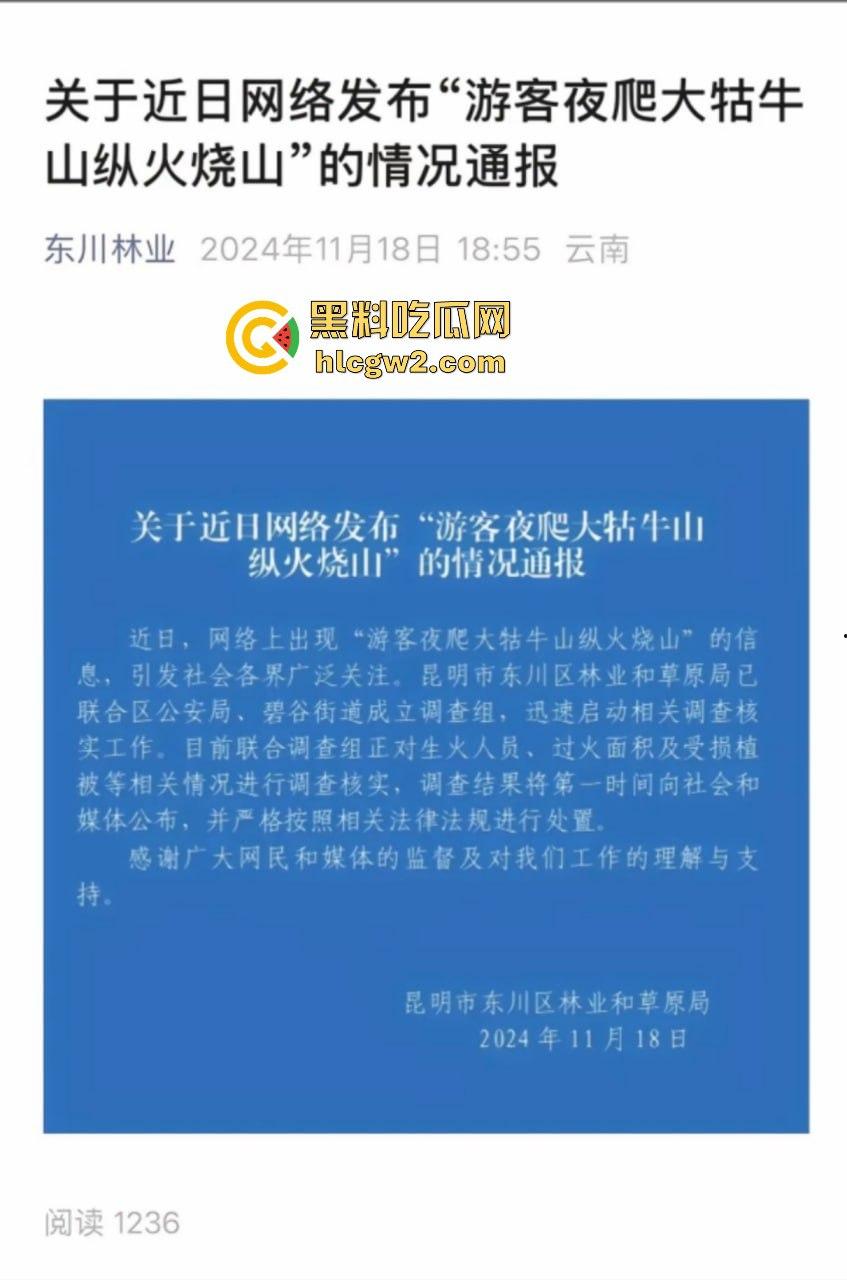 青春无售价却纵火韶山!无知大学生云南东川大牯牛山放火毁二级保护植物 杜鹃花全军覆没!-1