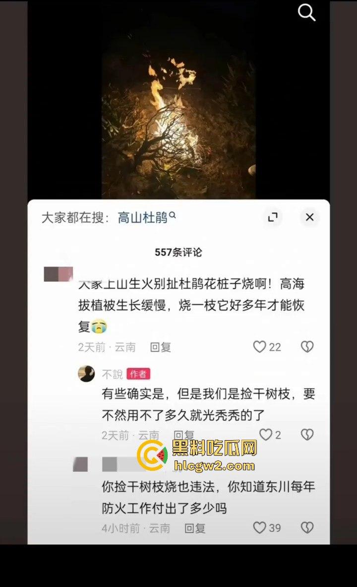 青春无售价却纵火韶山!无知大学生云南东川大牯牛山放火毁二级保护植物 杜鹃花全军覆没!-4