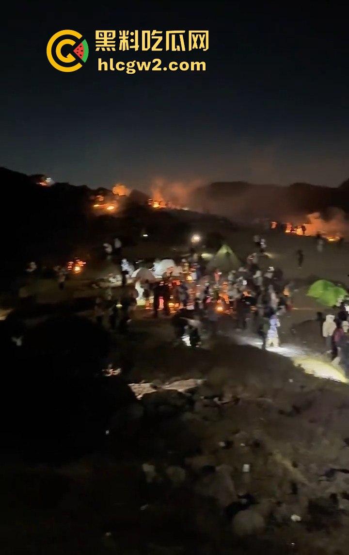 青春无售价却纵火韶山!无知大学生云南东川大牯牛山放火毁二级保护植物 杜鹃花全军覆没!-7