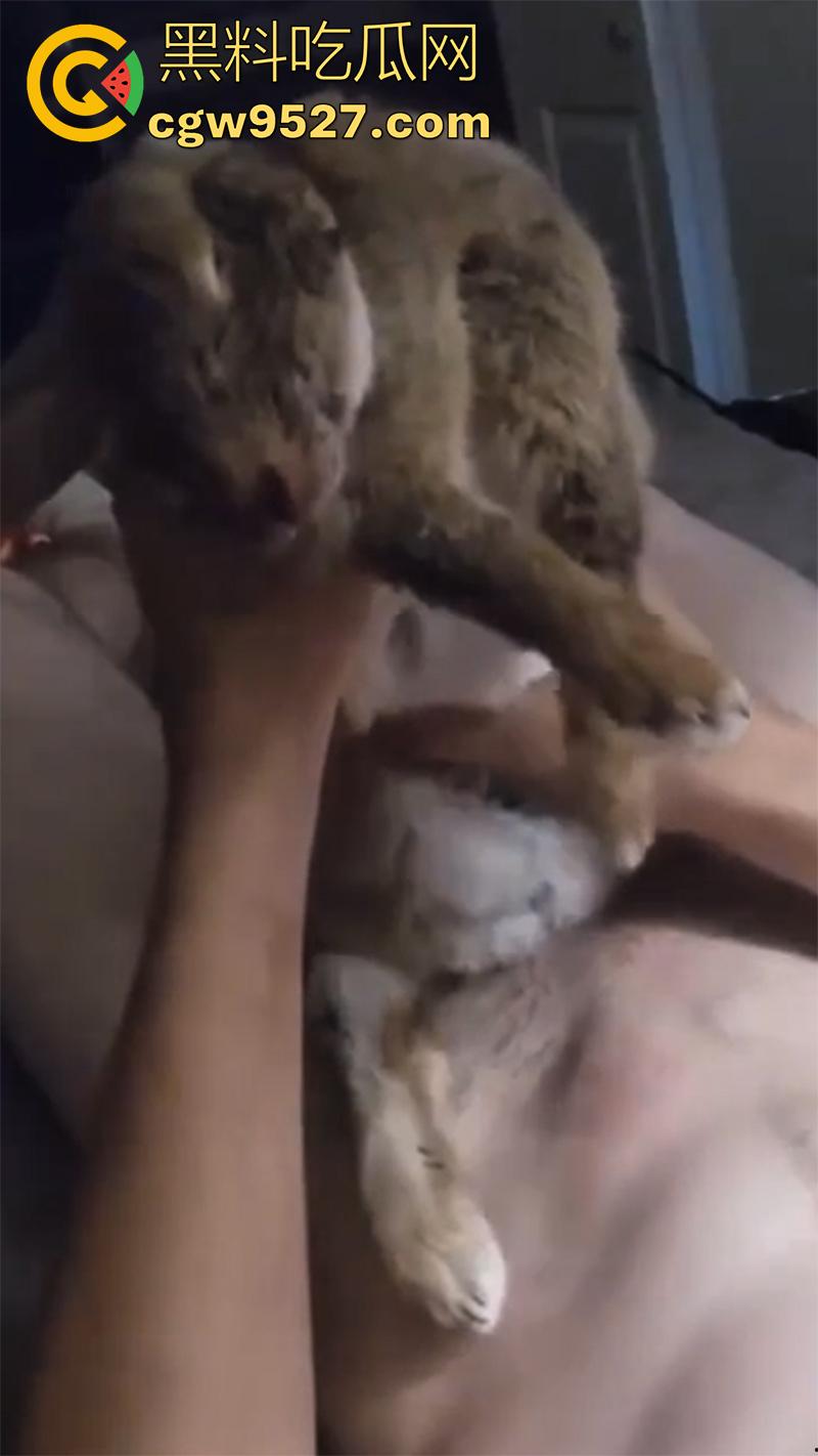 印度三哥真是什么都敢操，从兔子到乌龟，从老虎到蜥蜴，只要有洞都能插，地震裂缝是不是也能操地球啊！-4